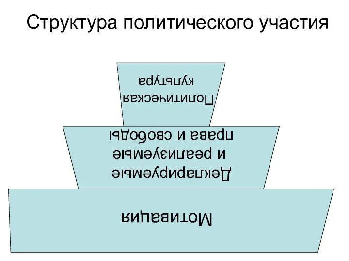 Структура политического участия