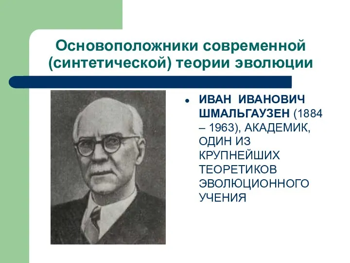 Основоположники современной (синтетической) теории эволюции ИВАН ИВАНОВИЧ ШМАЛЬГАУЗЕН (1884 – 1963), АКАДЕМИК,