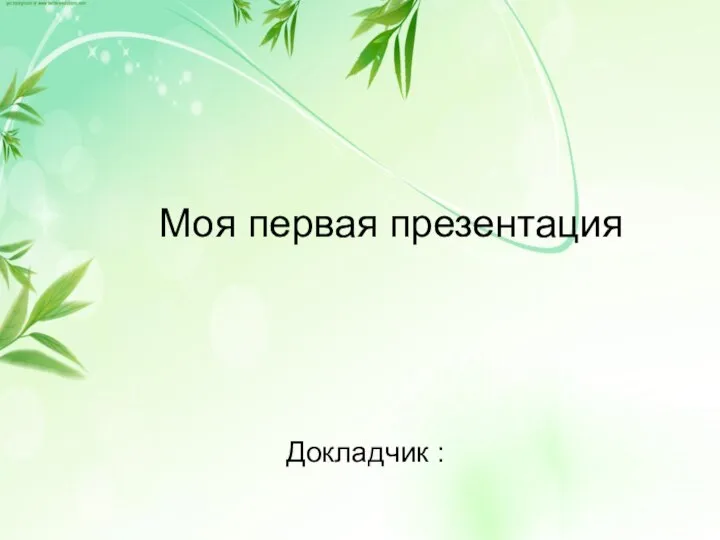 Моя первая презентация Докладчик :