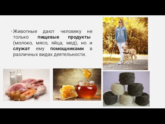 Животные дают человеку не только пищевые продукты (молоко, мясо, яйца, мед), но