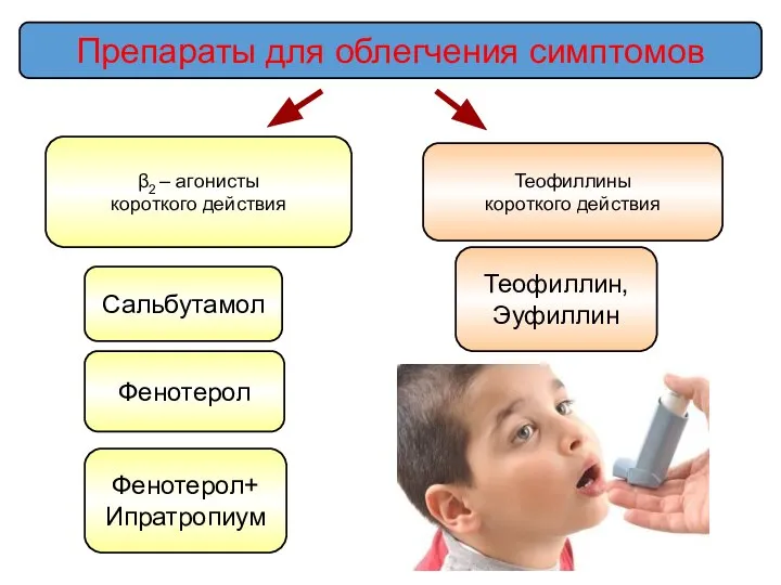 Препараты для облегчения симптомов β2 – агонисты короткого действия Теофиллины короткого действия