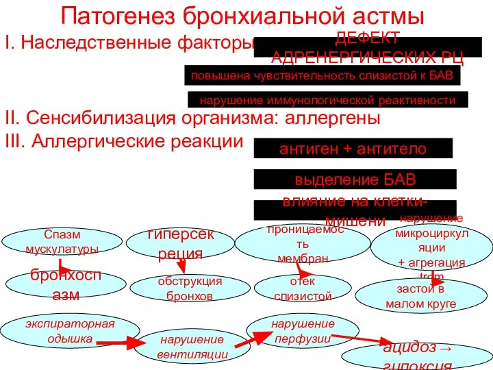 Патогенез бронхиальной астмы І. Наследственные факторы ІІ. Сенсибилизация организма: аллергены ІІІ. Аллергические