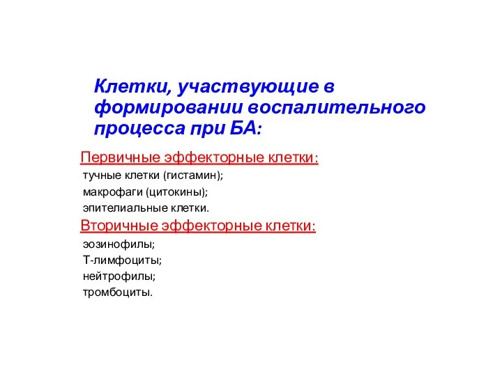 Клетки, участвующие в формировании воспалительного процесса при БА: Первичные эффекторные клетки: ­