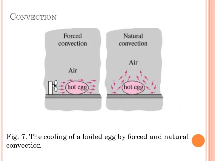 Convection Fig. 7. The cooling of a boiled egg by forced and natural convection