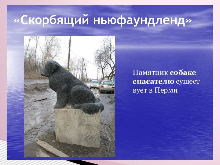 «» «Скорбящий ньюфаундленд» Памятник собаке-спасателю существует в Перми