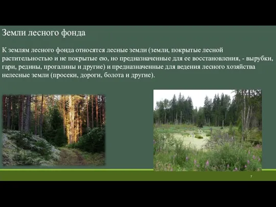 Земли лесного фонда К землям лесного фонда относятся лесные земли (земли, покрытые