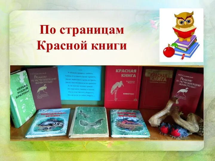 По страницам Красной книги