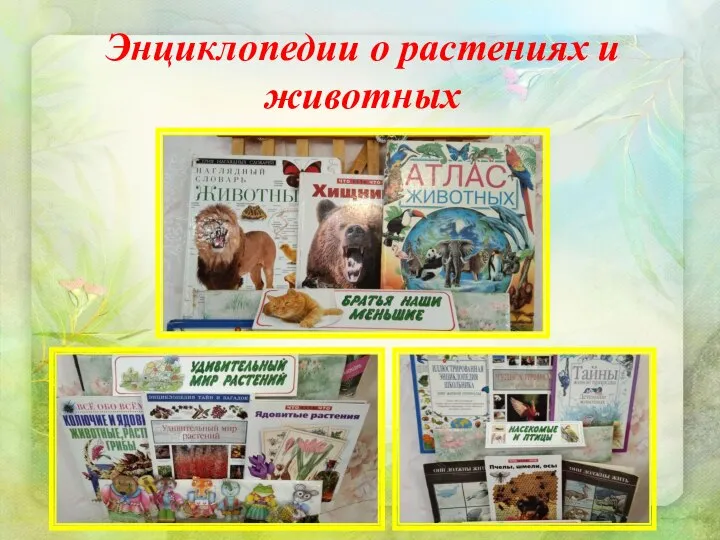 Энциклопедии о растениях и животных
