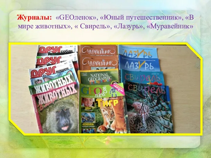 Журналы: «GEOленок», «Юный путешественник», «В мире животных», « Свирель», «Лазурь», «Муравейник»