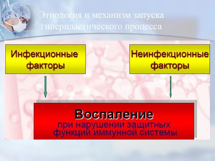 Этиология и механизм запуска гиперпластического процесса