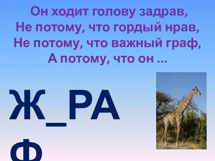 Он ходит голову задрав, Не потому, что гордый нрав, Не потому, что