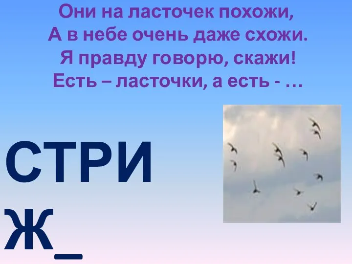 Они на ласточек похожи, А в небе очень даже схожи. Я правду