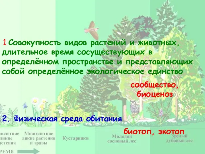 .1. Совокупность видов растений и животных, длительное время сосуществующих в определённом пространстве