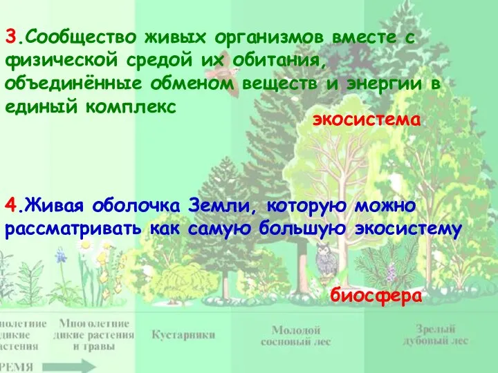 3.Сообщество живых организмов вместе с физической средой их обитания, объединённые обменом веществ