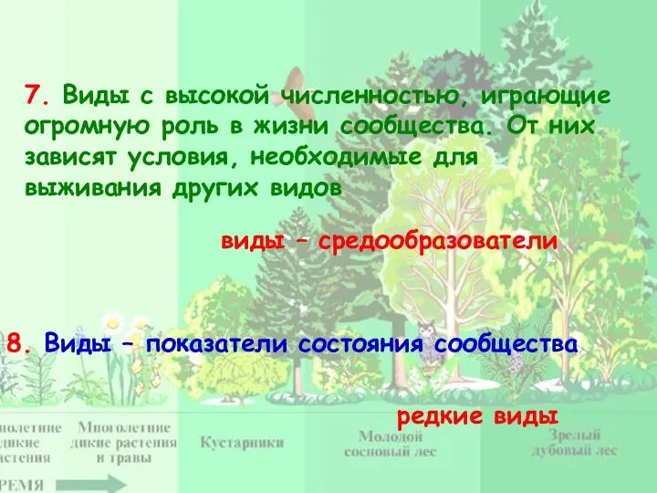 7. Виды с высокой численностью, играющие огромную роль в жизни сообщества. От