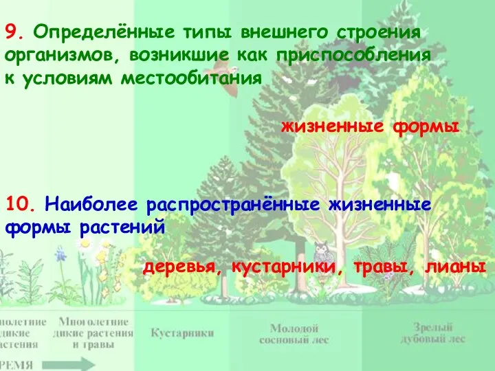 9. Определённые типы внешнего строения организмов, возникшие как приспособления к условиям местообитания