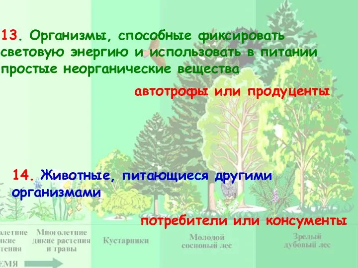 13. Организмы, способные фиксировать световую энергию и использовать в питании простые неорганические