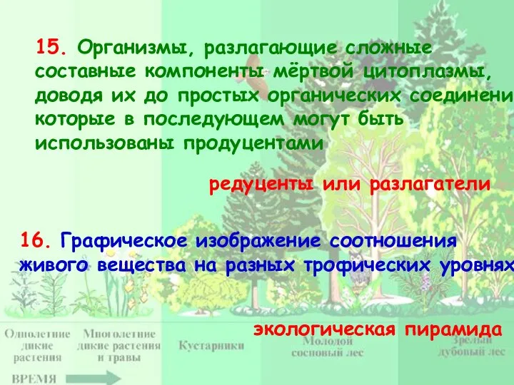 15. Организмы, разлагающие сложные составные компоненты мёртвой цитоплазмы, доводя их до простых