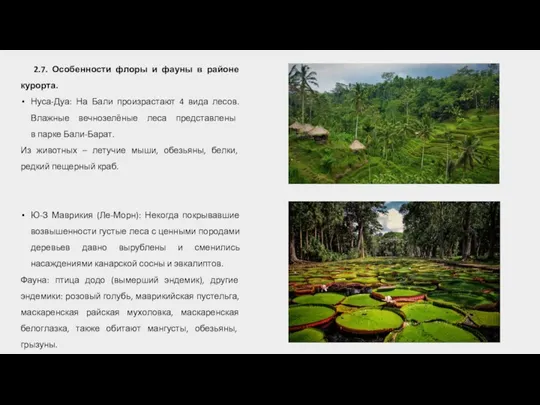 2.7. Особенности флоры и фауны в районе курорта. Нуса-Дуа: На Бали произрастают