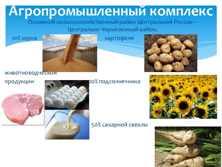 Основной сельскохозяйственный район Центральной России – Центрально-Черноземный район. 10% зерна картофеля животноводческой