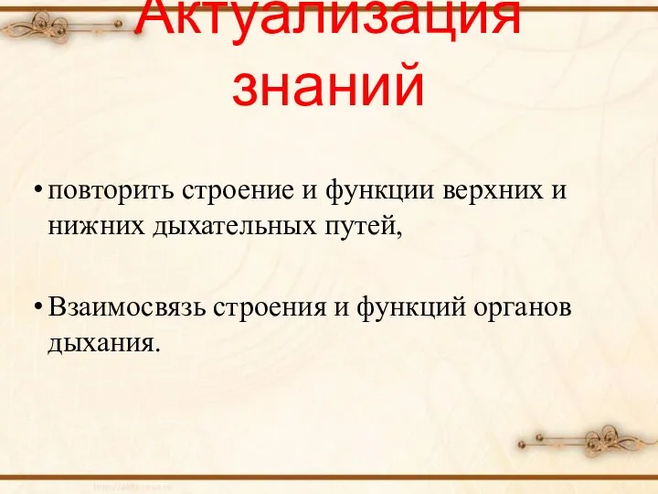 Актуализация знаний повторить строение и функции верхних и нижних дыхательных путей, Взаимосвязь