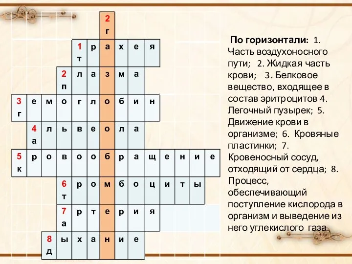 По горизонтали: 1. Часть воздухоносного пути; 2. Жидкая часть крови; 3. Белковое