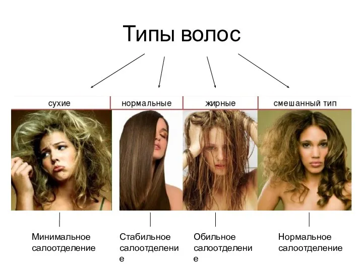 Типы волос Минимальное салоотделение Стабильное салоотделение Обильное салоотделение Нормальное салоотделение