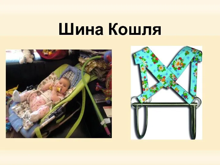 Шина Кошля