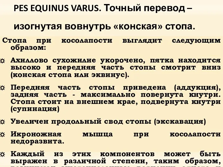 PES EQUINUS VARUS. Точный перевод – изогнутая вовнутрь «конская» стопа. Cтопа при