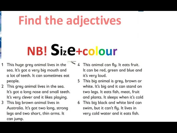 Find the adjectives NB! size+colour