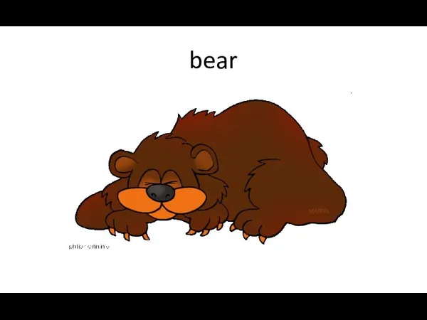 bear