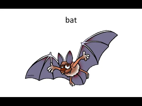 bat