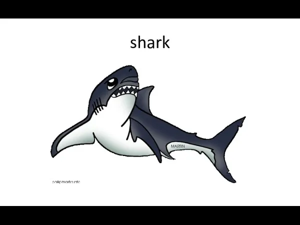 shark