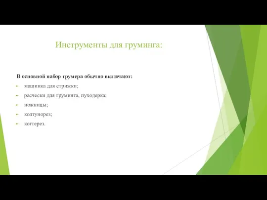 Инструменты для груминга: В основной набор грумера обычно включают: машинка для стрижки;