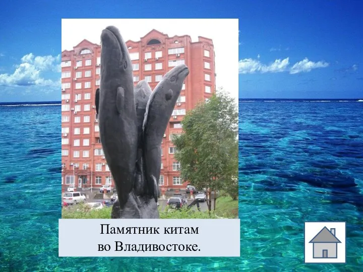 Памятник китам во Владивостоке.