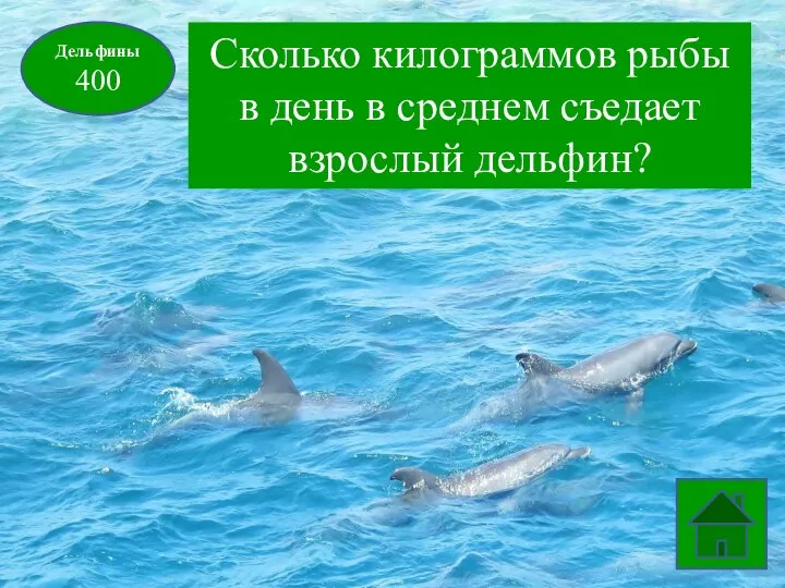 Дельфины 400 Сколько килограммов рыбы в день в среднем съедает взрослый дельфин?