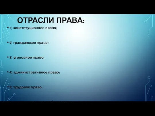 ОТРАСЛИ ПРАВА: 1) конституционное право; 2) гражданское право; 3) уголовное право; 4)