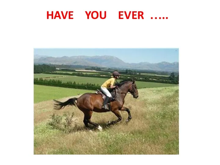 HAVE YOU EVER …..