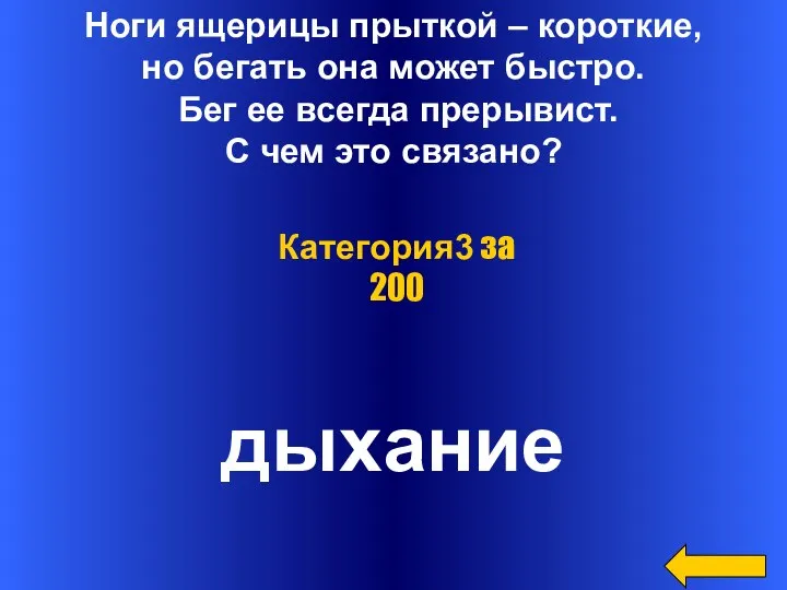 Ноги ящерицы прыткой – короткие, но бегать она может быстро. Бег ее