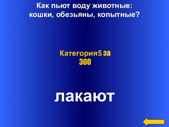 Как пьют воду животные: кошки, обезьяны, копытные? лакают Категория5 за 300