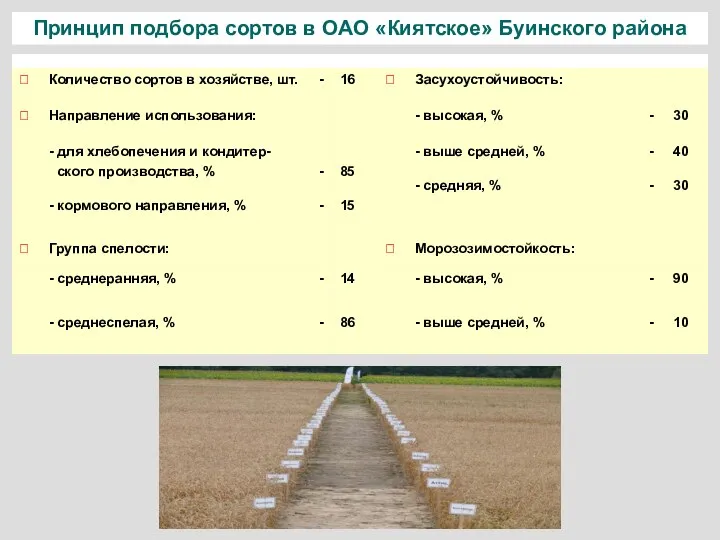 Принцип подбора сортов в ОАО «Киятское» Буинского района