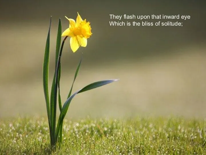 They flash upon that inward eye Which is the bliss of solitude;