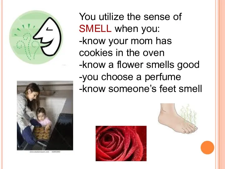 You utilize the sense of SMELL when you: -know your mom has