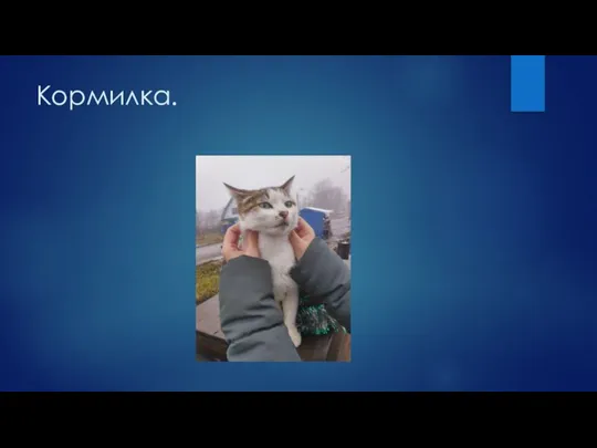 Кормилка.