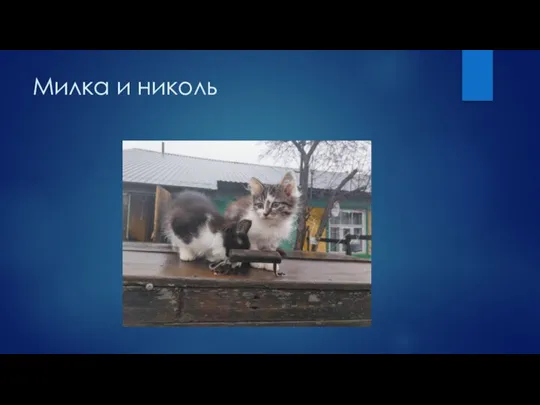 Милка и николь