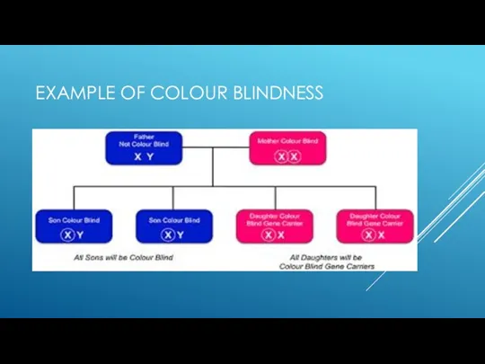 EXAMPLE OF COLOUR BLINDNESS