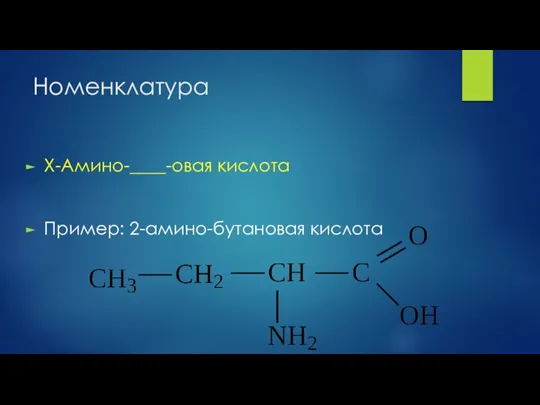 Номенклатура X-Амино-____-овая кислота Пример: 2-амино-бутановая кислота