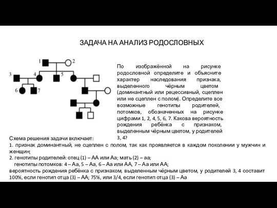 Схема решения задачи включает: 1. признак доминантный, не сцеплен с полом, так