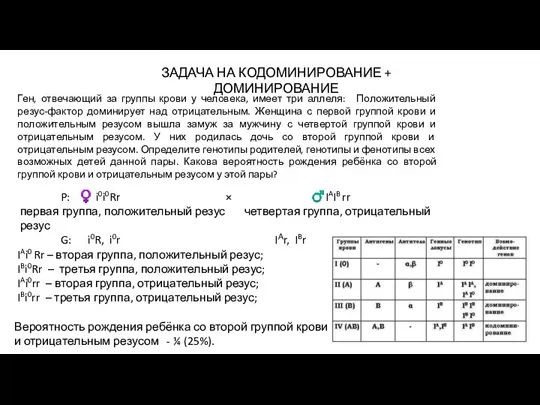 Ген, отвечающий за группы крови у человека, имеет три аллеля: Положительный резус-фактор