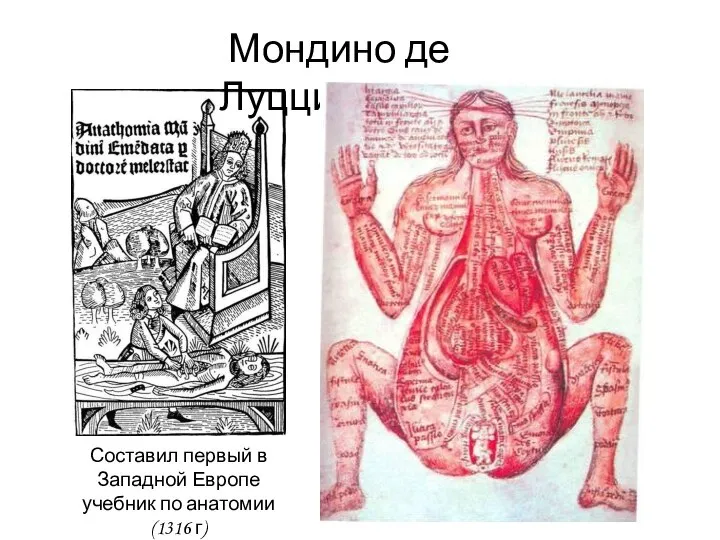 Мондино де Луцци Составил первый в Западной Европе учебник по анатомии (1316 г)